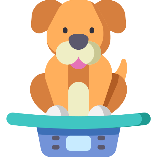 Custom icon