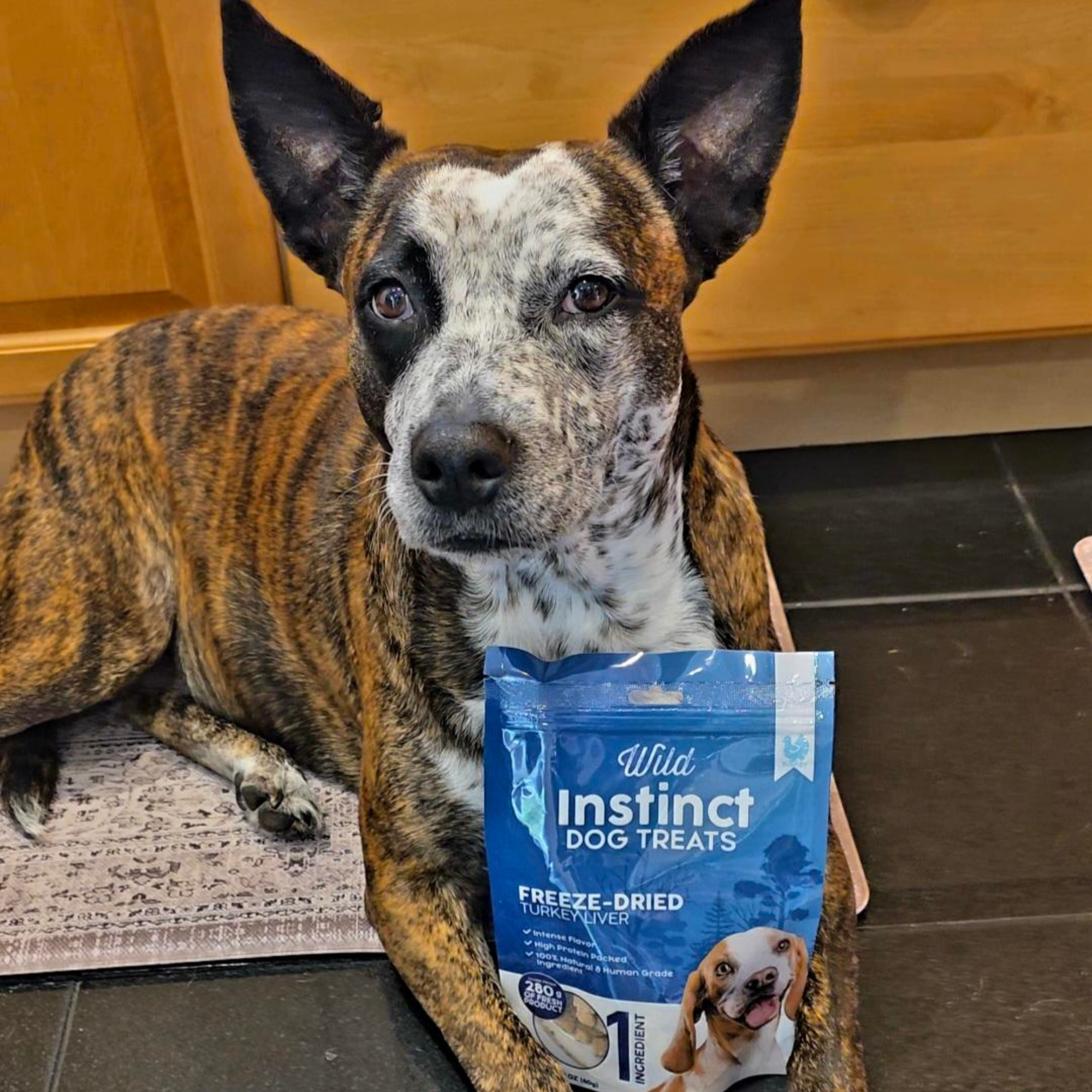 Freeze-Dried Turkey Liver Dog Treats