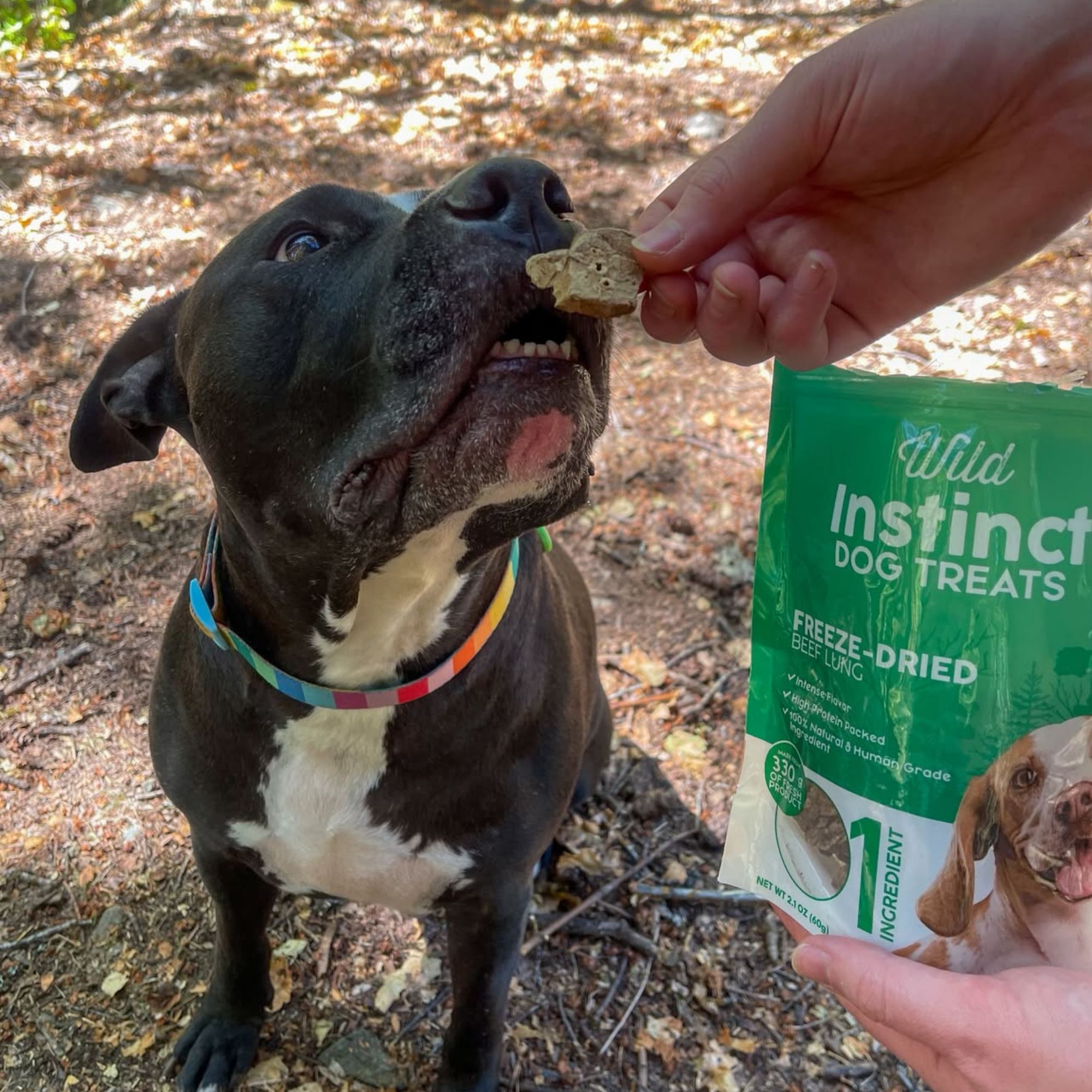 Freeze-Dried Beef Lung for Dogs