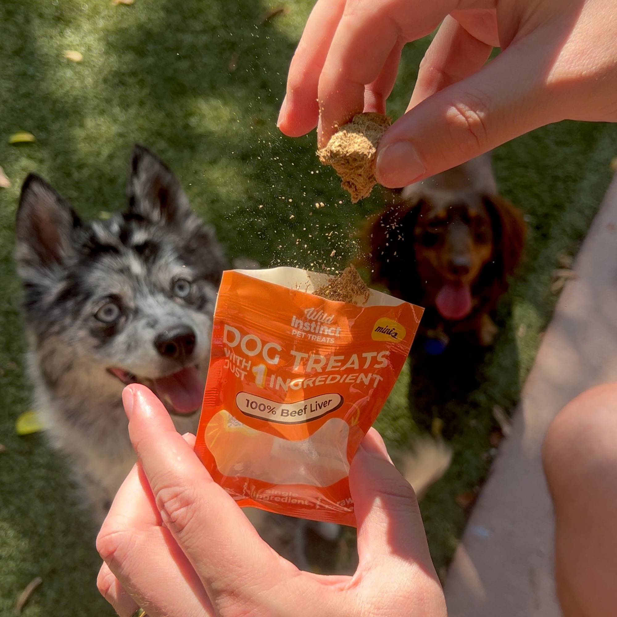 Beef Liver Minis - Single Ingredient Dog Treats