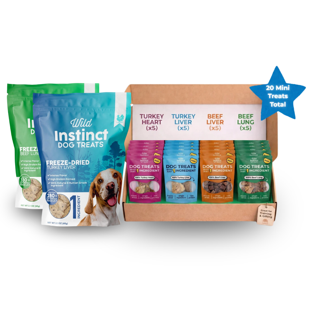 At Home & On-the-Go Bundle