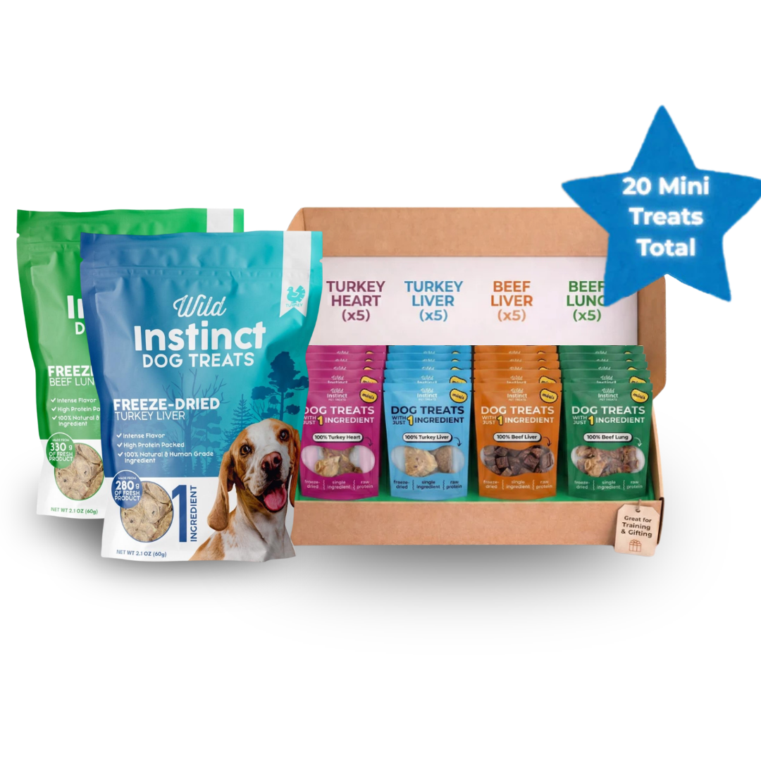 At Home & On-the-Go Bundle