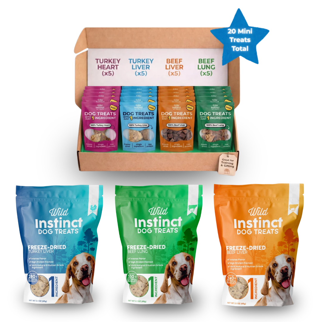At Home & On-the-Go Bundle