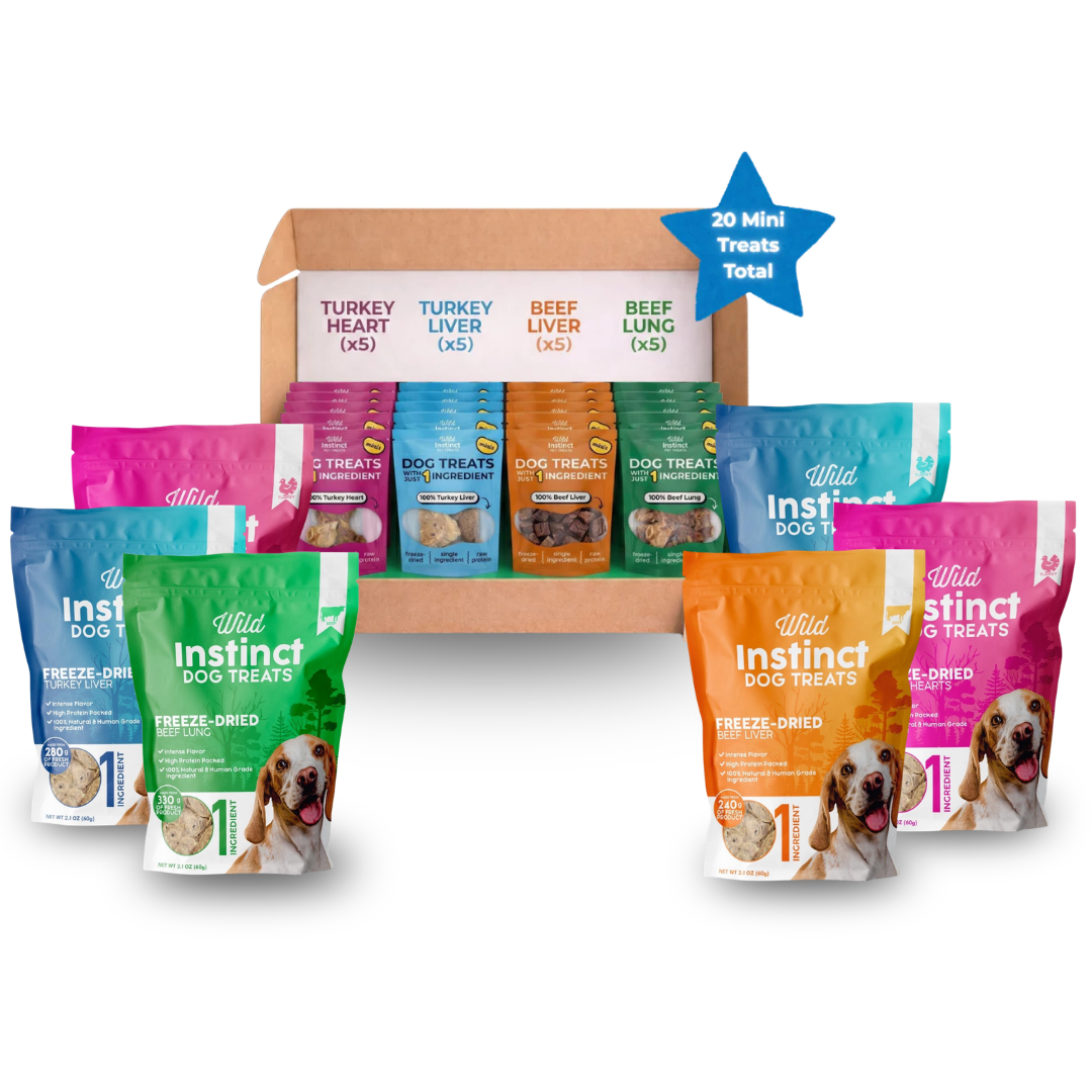 At Home & On-the-Go Bundle