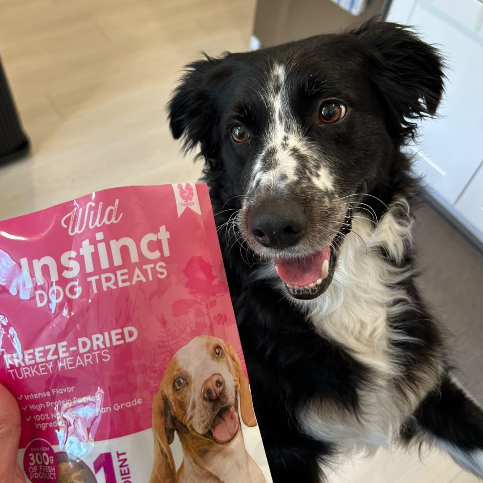 Freeze-Dried Turkey Hearts for Dogs