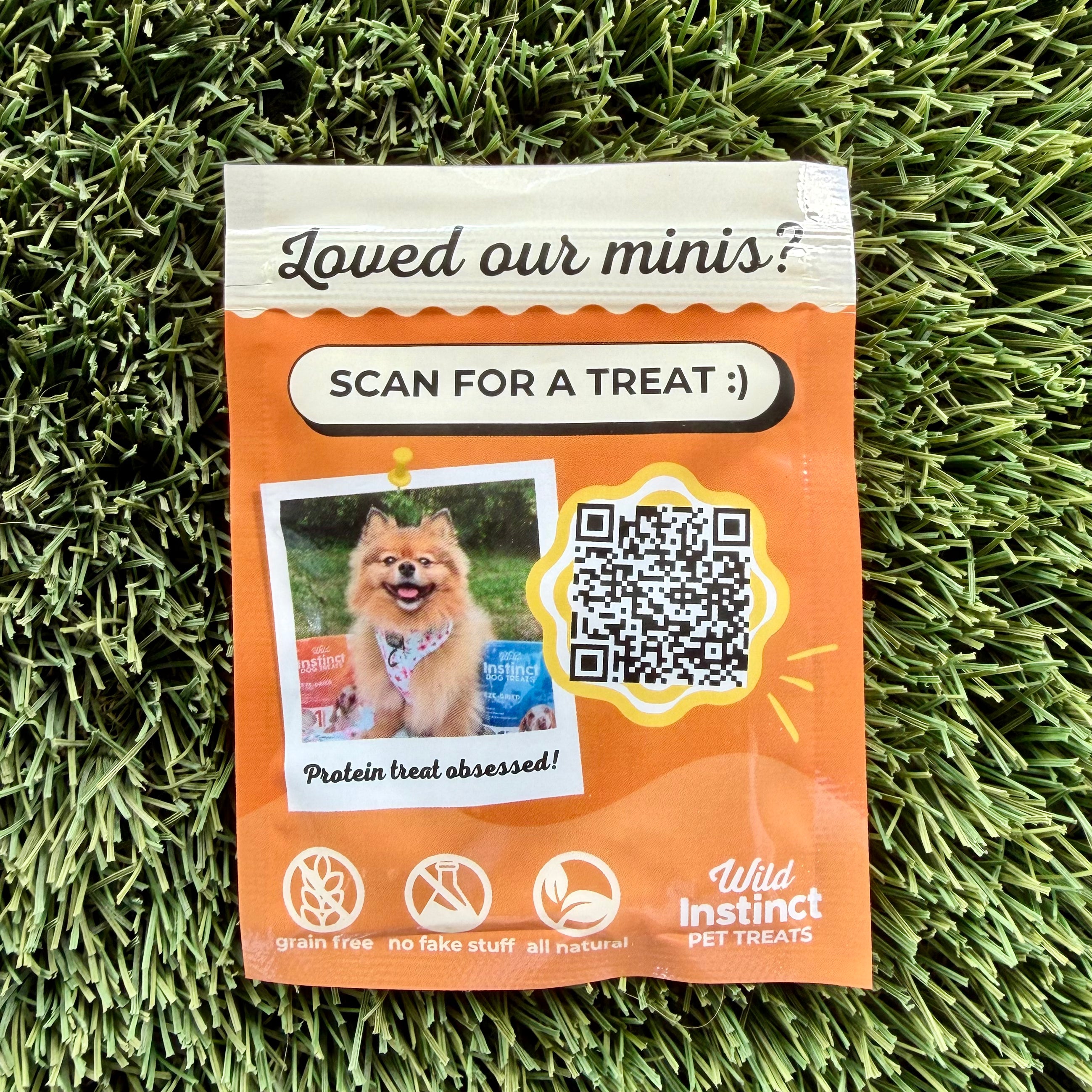 Beef Liver Minis - Dog Treats