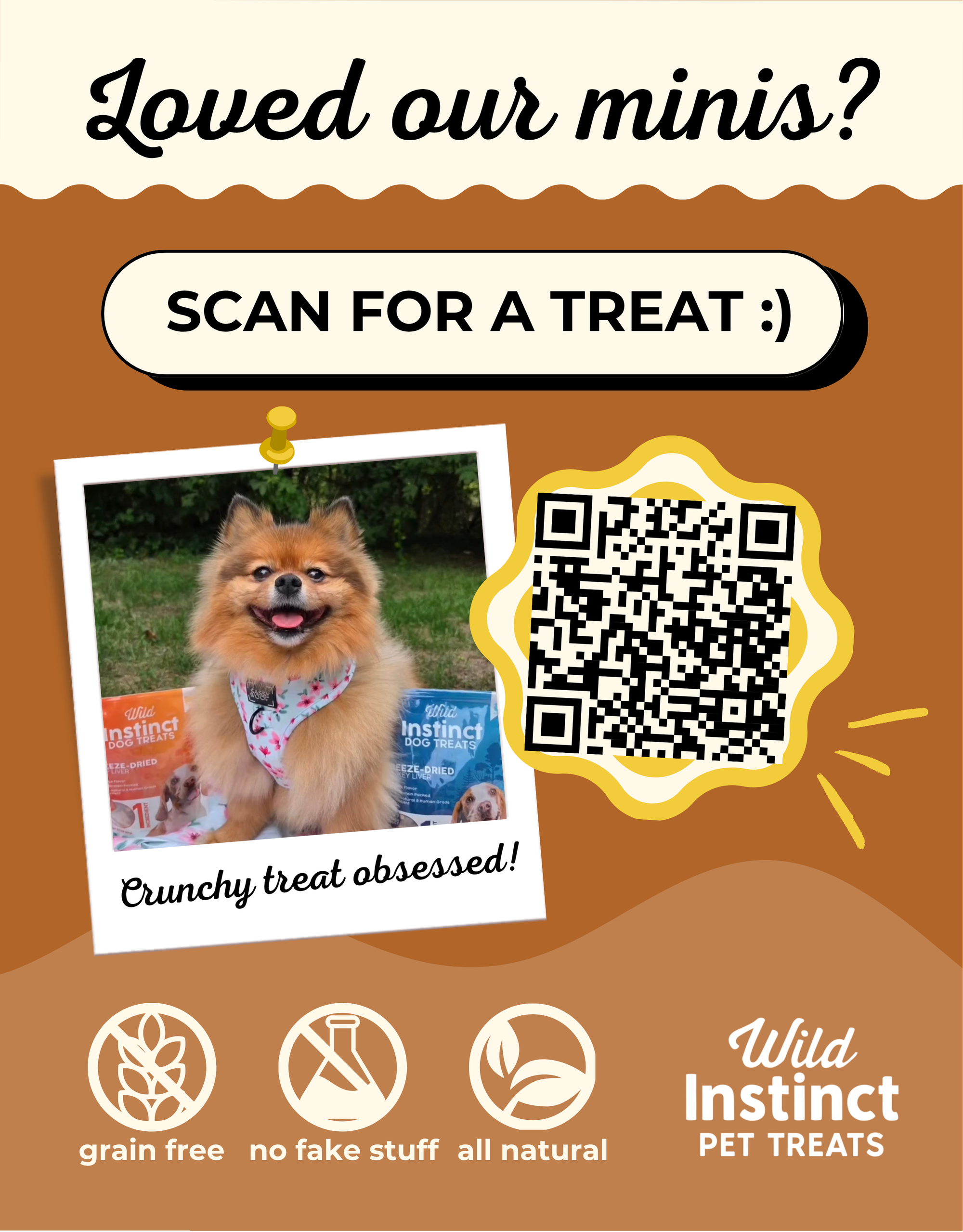 Sweet Potato Minis - Dog Treats