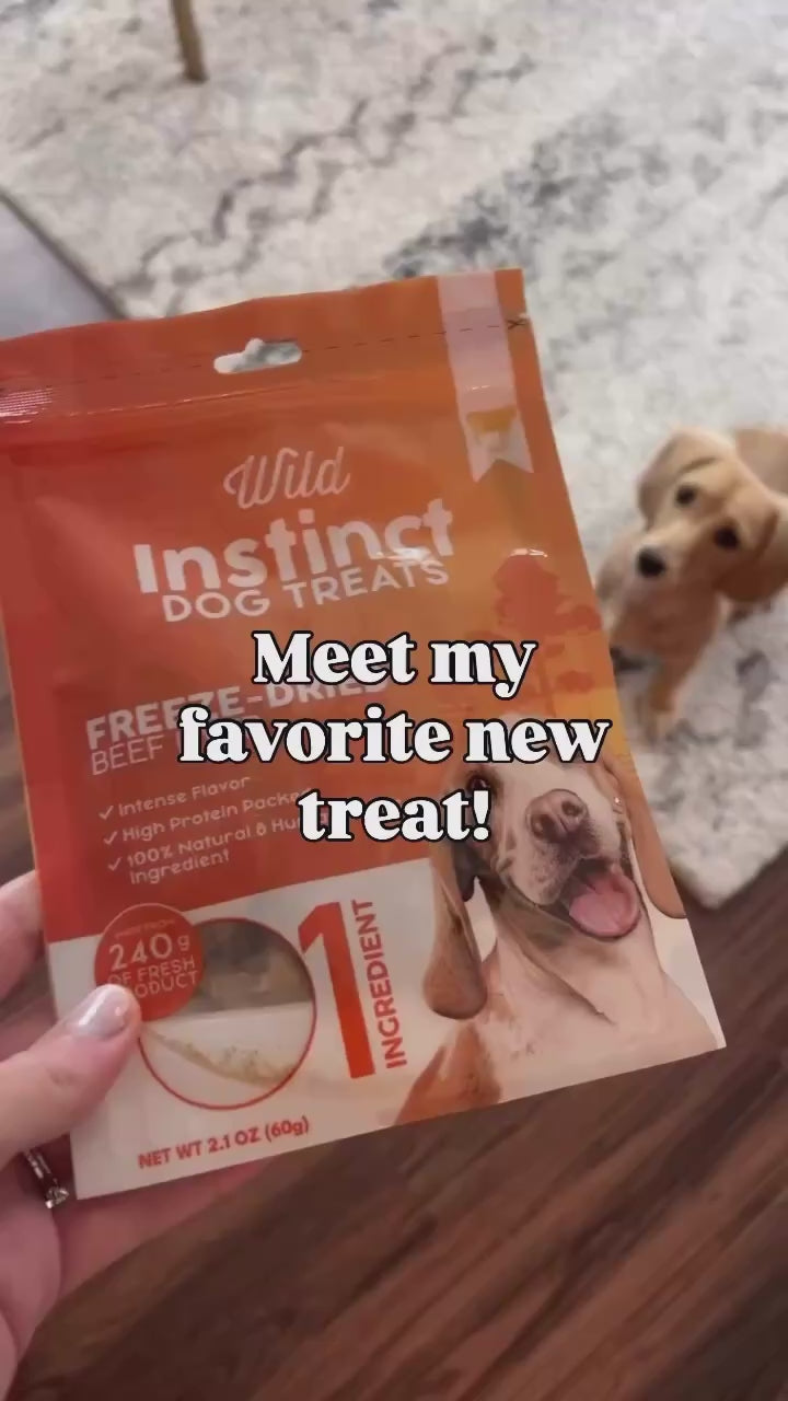 Freeze-dried beef liver dog treats by Wild Instinct being used as a high-protein training reward